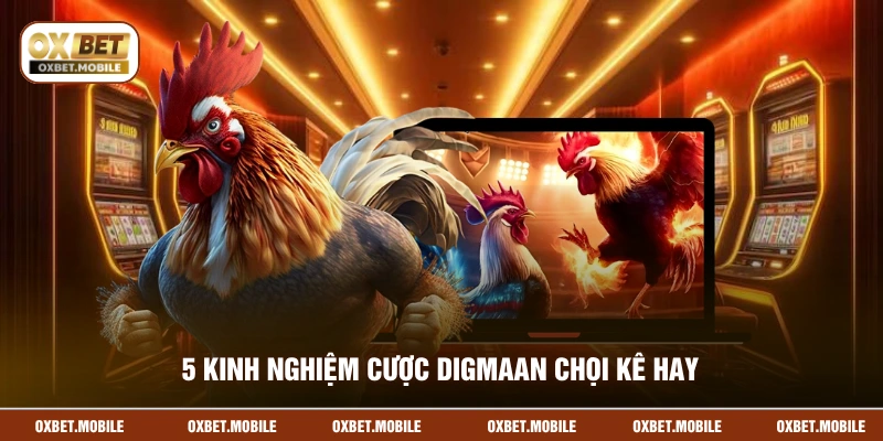 5 kinh nghiệm cược Digmaan chọi kê hay