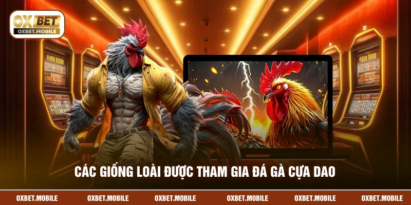 Các giống loài được tham gia đá gà cựa dao