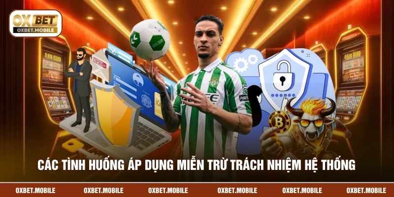 Các tình huống áp dụng miễn trừ trách nhiệm hệ thống