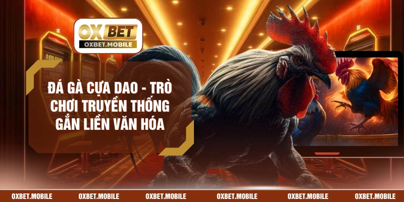 Đá Gà Cựa Dao - Trò Chơi Truyền Thống Gắn Liền Văn Hóa