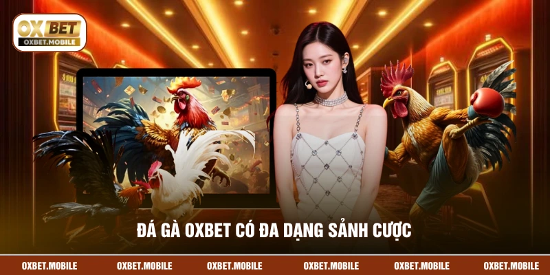 Đá gà OXBET có đa dạng sảnh cược
