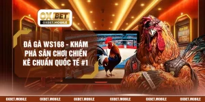 Đá Gà WS168 - Khám Phá Sân Chơi Chiến Kê Chuẩn Quốc Tế #1