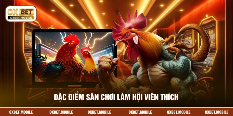 Đặc điểm sân chơi làm hội viên thích