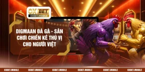 Digmaan Đá Gà - Sân Chơi Chiến Kê Thú Vị Cho Người Việt