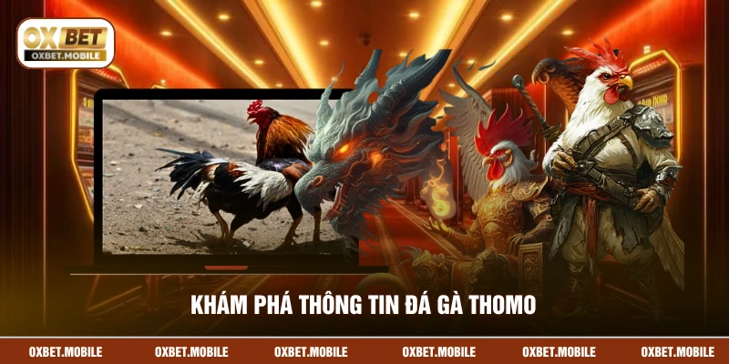 Khám phá thông tin đá gà Thomo