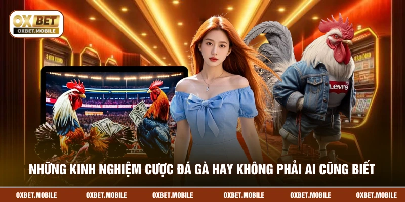 Những kinh nghiệm cược đá gà hay không phải ai cũng biết