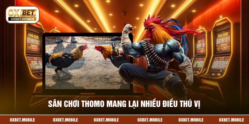 Sân chơi Thomo mang lại nhiều điều thú vị