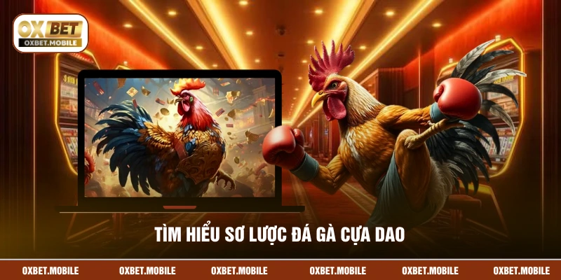 Tìm hiểu sơ lược đá gà cựa dao