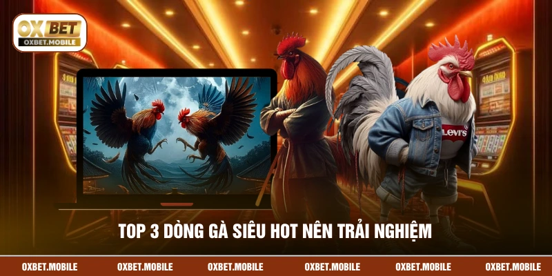 Top 3 dòng gà siêu hot nên trải nghiệm