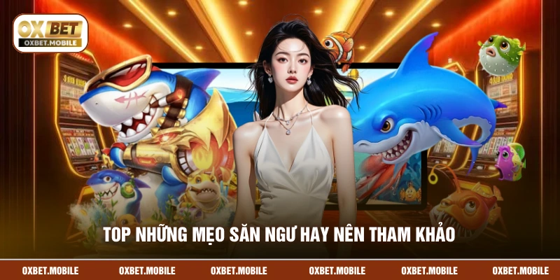 Top những mẹo săn ngư hay nên tham khảo