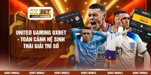United Gaming OXBET - Toàn Cảnh Hệ Sinh Thái Giải Trí Số
